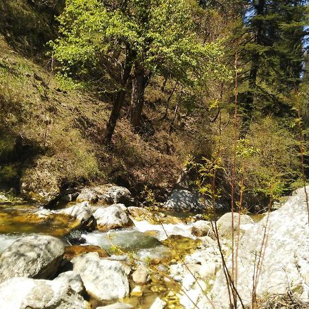 Latoda Eco Lodge Jibhi 外观 照片