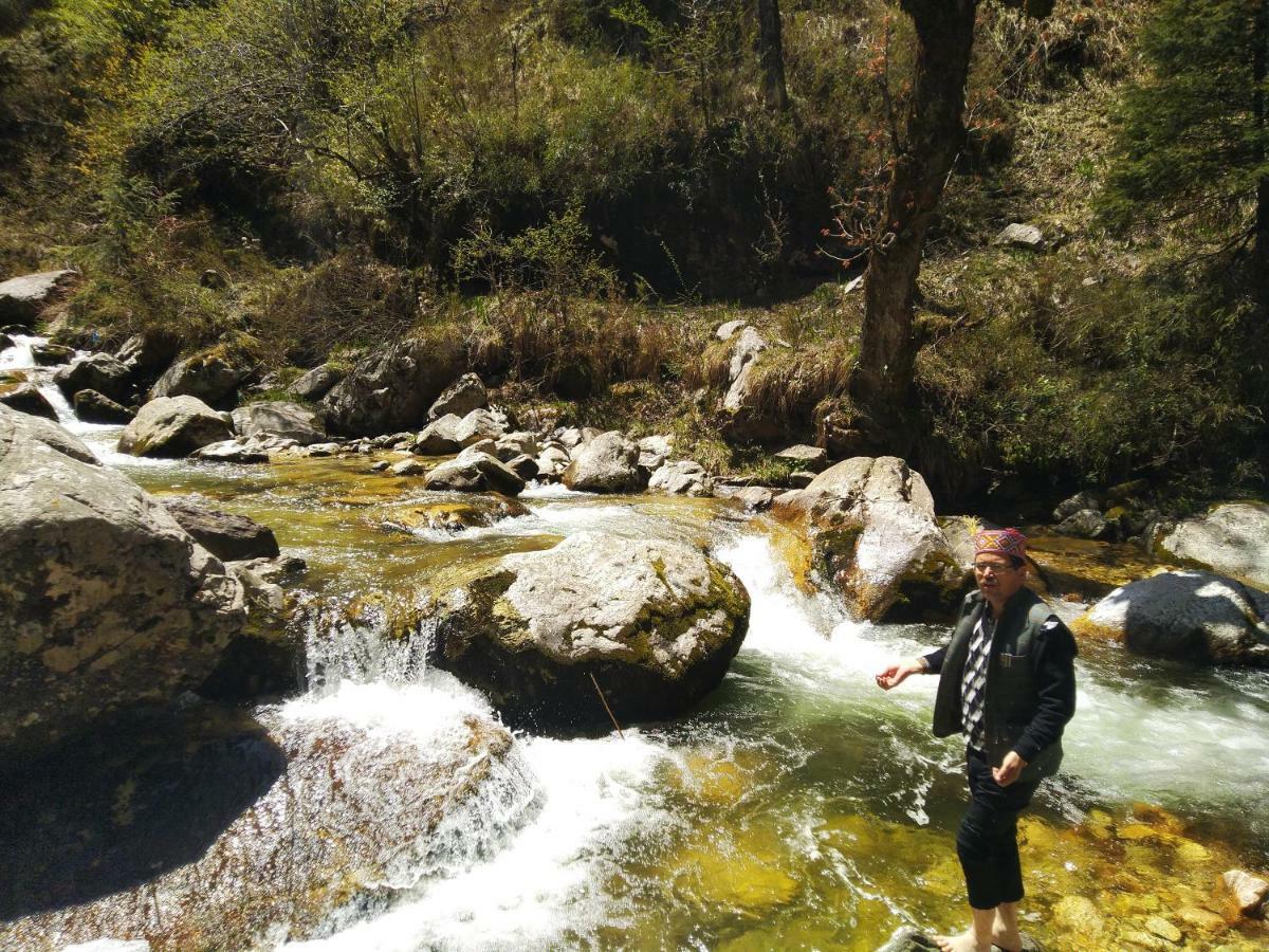 Latoda Eco Lodge Jibhi 外观 照片